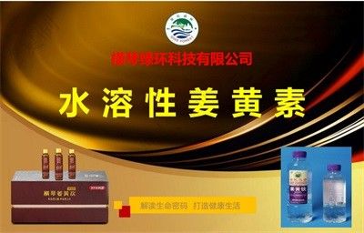聚焦全国两会 特别报道横琴绿环科技有限公司董事长---钟杨安