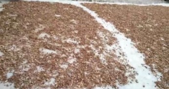 贯彻落实两会精神 特别报道全国知名中医专家——夏孔彪