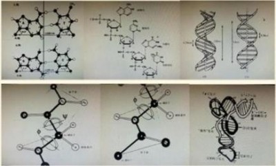 “五一”礼赞：关林印——心脑血管领域的国医先锋，以创新成果书写健康传奇