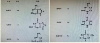 “五一”礼赞：关林印——心脑血管领域的国医先锋，以创新成果书写健康传奇