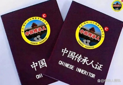 李泓静20年“手”护健康：一位中医康复师的传承之路