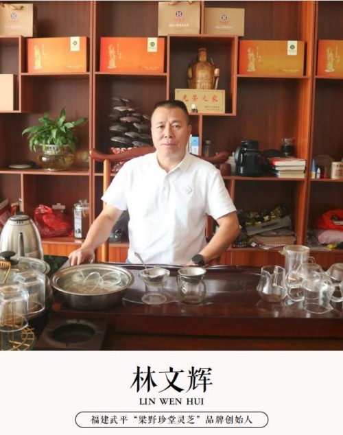 梁野珍堂林文辉：退伍军人的灵芝传奇，用非遗技艺续写千年养生智慧