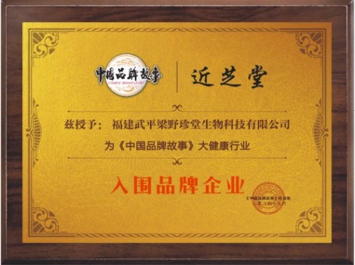 梁野珍堂林文辉：退伍军人的灵芝传奇，用非遗技艺续写千年养生智慧