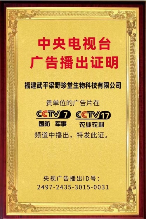 梁野珍堂林文辉：退伍军人的灵芝传奇，用非遗技艺续写千年养生智慧