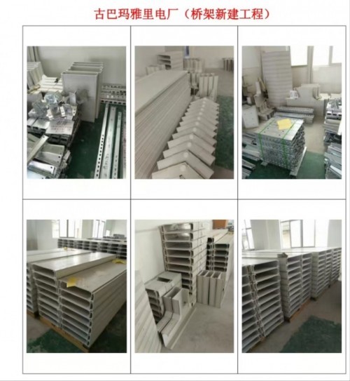 中国优秀创新企业家 高分子桥架创始人——薛瑞清