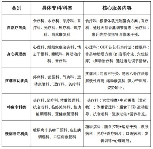 全国首创非药物医院项目实施计划