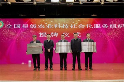 思耀国：头雁领航兴农路 实干担当助振兴