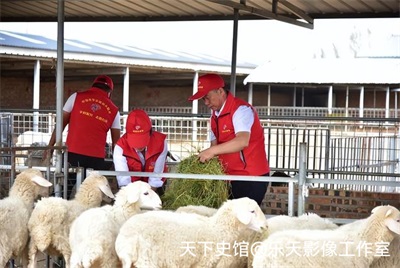 思耀国：头雁领航兴农路 实干担当助振兴