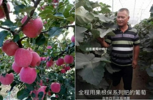 传承抗战精神 耕耘田野——农业科技先锋刘福信报国之路