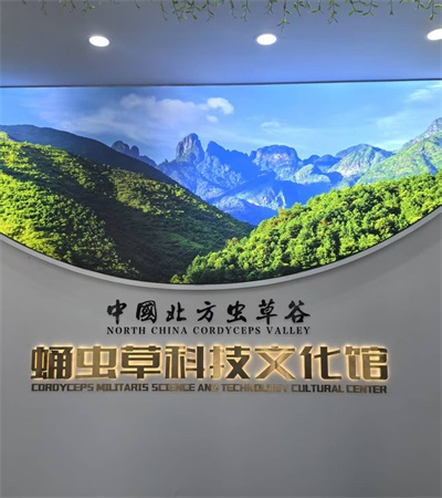 黄河千年清一回 龙肽匠心献华诞 时代献礼：从“健康个体”到“民族复兴”的价值共鸣