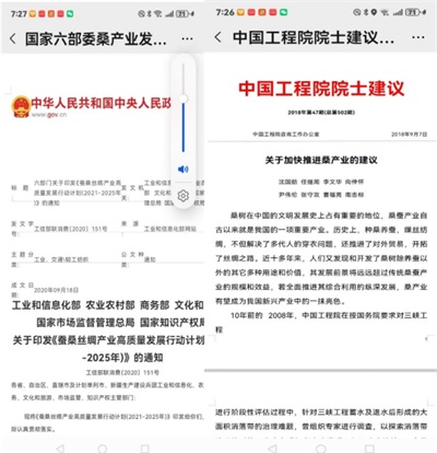 黄河千年清一回 龙肽匠心献华诞 时代献礼：从“健康个体”到“民族复兴”的价值共鸣