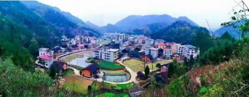 论中风偏瘫三高的调理与康复 作者刘建清字号梅山医痴！