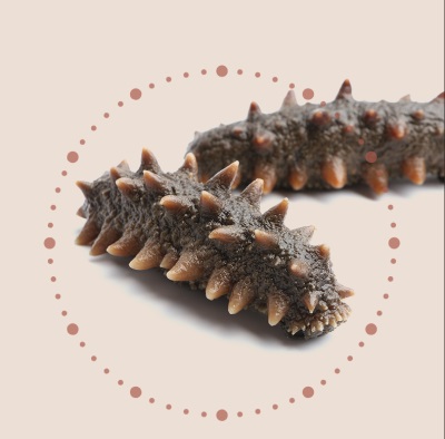 【品牌】：郁旺达（量子饱和植入产品）