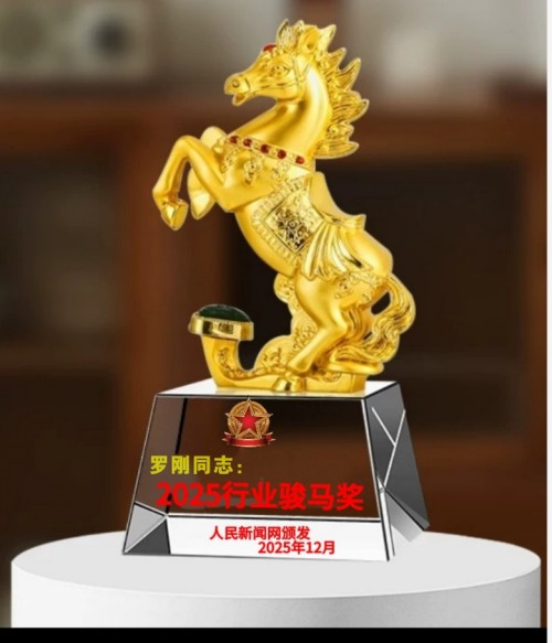 恭贺罗刚荣获人民新闻网2025行业骏马奖 以“建筑医院”理念引领建筑安全创新与行业规范发展