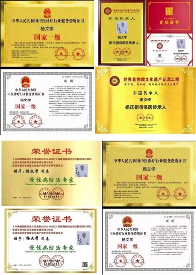 喜迎两会特别报道 全球华人易学专家智库专家、著名易学泰斗、国际顶尖世界级人物---杨文学