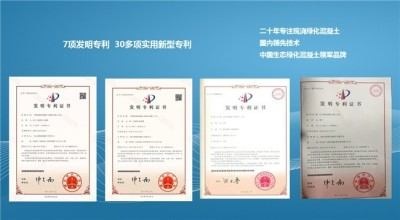 新质生产力驱动双碳转型：上海久鼎李仁的绿色发展之路