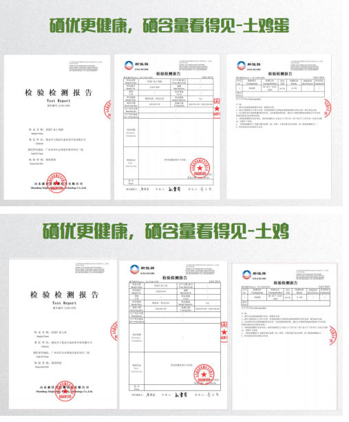 喜迎两会特别报道 生态养殖赋能乡村振兴：湖北乡土优品的“土鸡”突围之路