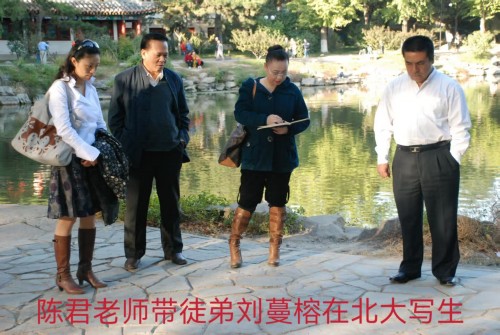 太极锋起：十年磨一剑，墨舞中华魂