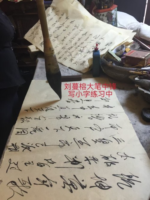 太极锋起：十年磨一剑，墨舞中华魂