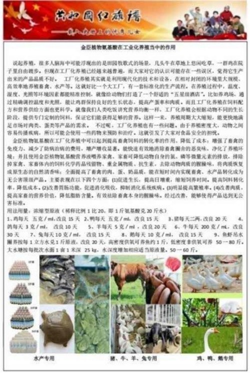 科技赋能生态健康：金臣科技以氨基酸技术书写“十五五”绿色发展新篇