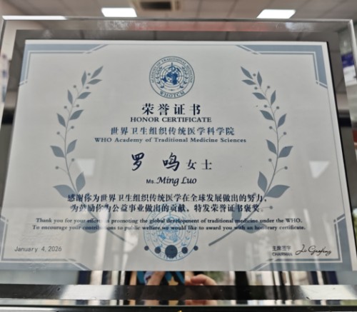 聚焦两会特别报道：罗鸣---以中医创新实践助力健康中国战略落地