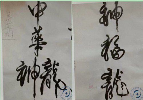 以创新之笔绘就“十五五”绿色答卷——记发明家、艺术家邱南海的环保实践与时代担当