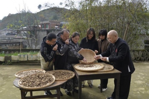 五一 专题报道 康之和苗药冯文龙：以百年匠心厚植苗药传承，赋能民族医药高质量发展