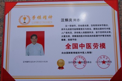 以人民为中心：基层医者汪炳炎用中西医智慧筑牢蛇伤防护网