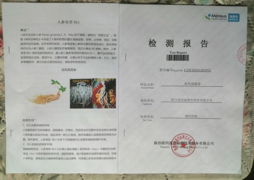 中国著名医学专家 李明与他的龙凤福参传奇