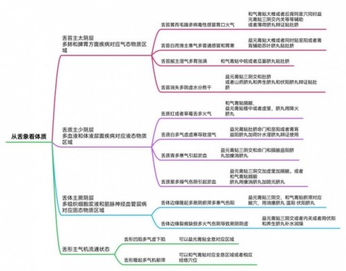 破千年传承之困，立生命医学新篇：王伟清与他的中医秩序革命