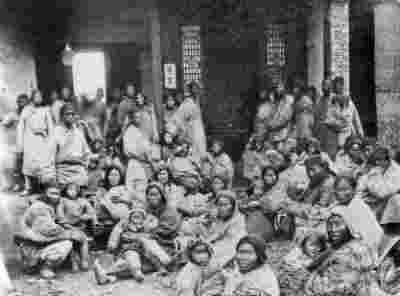 云南沙氏医药沙家榜大健康产业——沙荣金