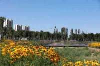 从北边渠到龙赓公园的美丽嬗变