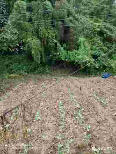 彰显中国榜样 特别报道当代易学泰斗---李春