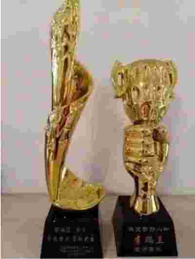 中医传承与现代医疗的桥梁 新时代非遗文化传播大使李瑞兰