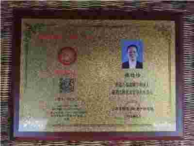 传承中医瑰宝,守护大众健康 中国著名国医大师---林的仕