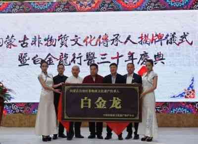 承千年文化  扬中医德馨  访白氏针法非物质文化遗产传承人---白金龙