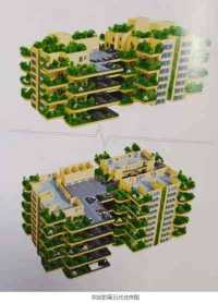 中国首席未病专家---廖更应