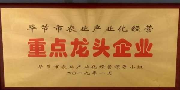 踔厉奋斗 勇毅前行 织金农耀农业开发有限公司董事长---曾爱生