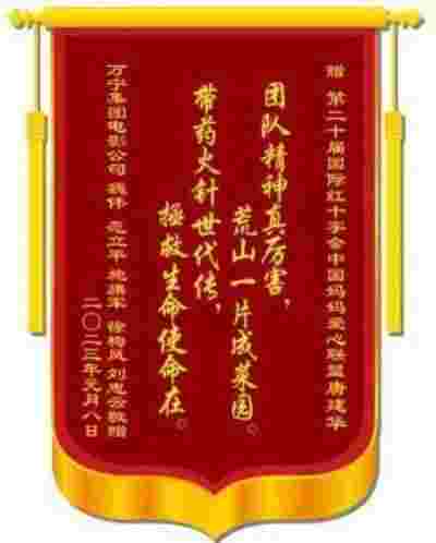 建国75周年特别报道 中国妈妈、著名医师---唐建华