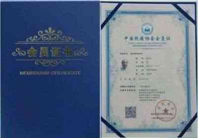 建国75周年特别报道 最美民间名医--成金生