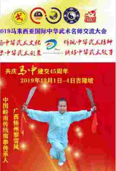 中医传国脉  歧伯济天下 国医银针圣手  女华佗黎雪凤