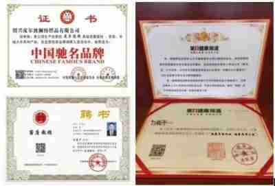 全国两会重点推荐纺织行业杰出企业家绍兴皮尔波澜董事长力尚于