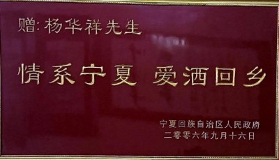 维护党的形象 巩固改革成果 铲除无形镣铐 莫让爱国情怀折翼于故土之困
