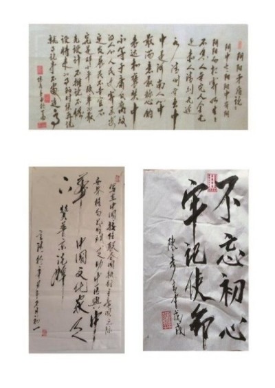 喜迎2026元旦人物贺岁特别报道：鼻炎克星北京中医院院长——陈彦青