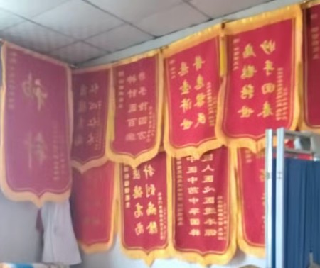 锚定十五五健康中国战略 中医传承非遗技师任锁银的基层健康守护路