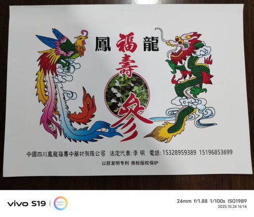 中国著名医学专家李明与他的龙凤福寿参传奇