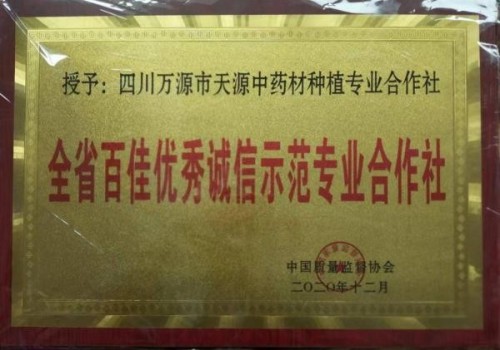 中国著名医学专家李明与他的龙凤福寿参传奇